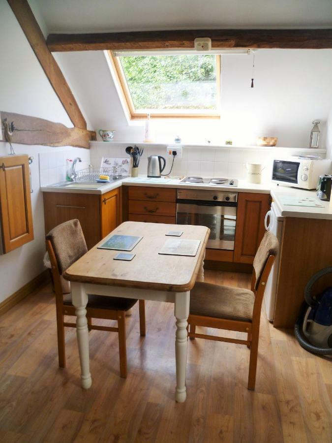 Appartement Dolifor à Llanwrthwl Extérieur photo