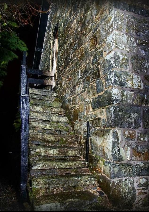 Appartement Dolifor à Llanwrthwl Extérieur photo